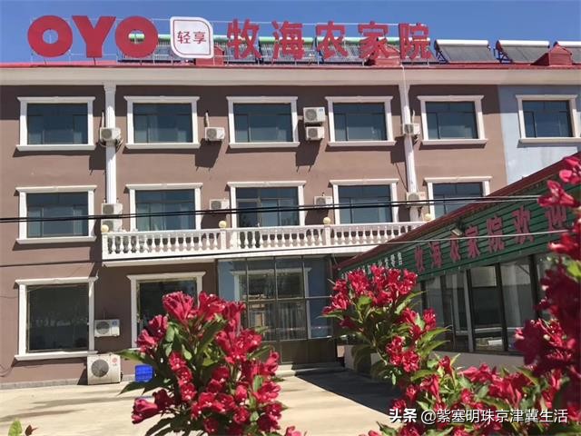 海边可以赶海吃住玩一体的农家院,秦皇岛黄金海岸牧海农家院