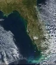 山海经中的扶桑与青铜神树,山海经扶桑树是史前文明