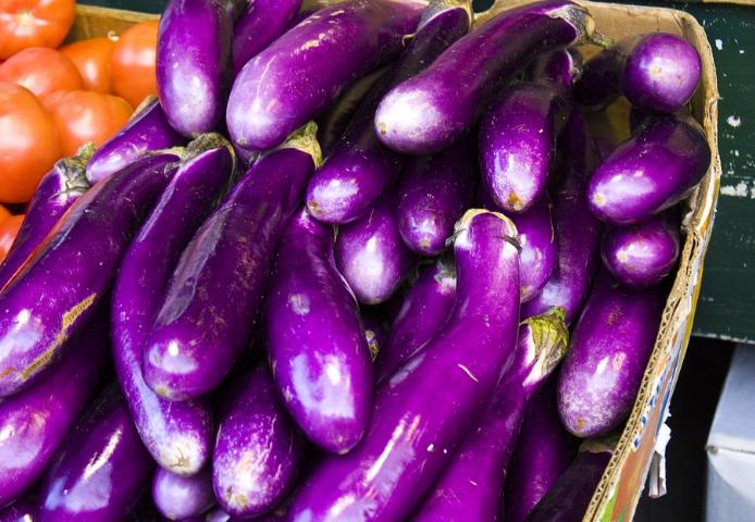 茄子圆茄长茄区别 (长茄好还是圆茄好)