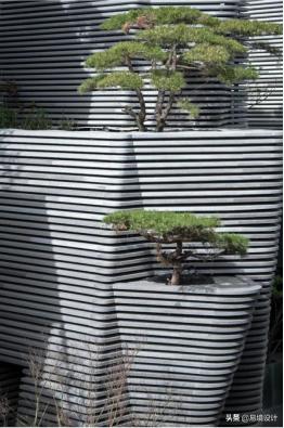 易境自然景观,易境共享茶室