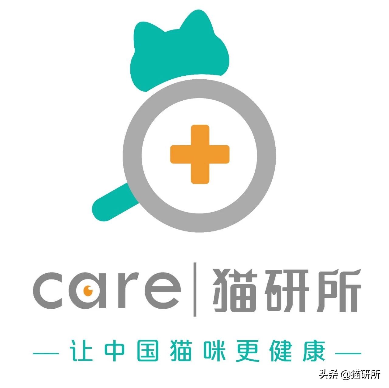 救助流浪猫要掌握正确方法,流浪猫正确的救助方式