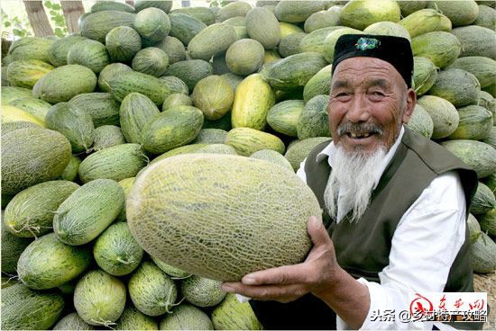 疆客巴州名优特产,疆好货新疆特产干果