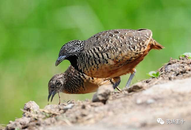 从乞丐到身价200万仅用一年时间,从乞讨到名相的传奇人生