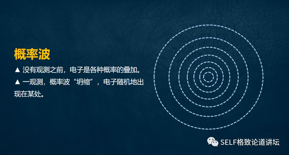 量子物理谜团薛定谔的猫已被破解 (量子计算机是否验证了薛定谔的猫)