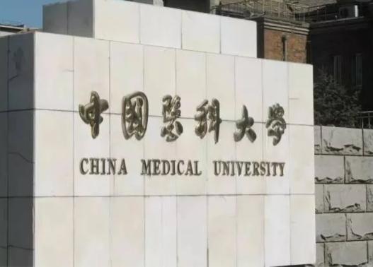 医药类大学排名前十名,最新中国医药类大学排名公布