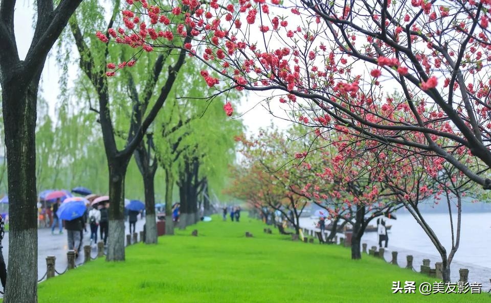 成语的误用类型有哪些,人民日报整理易错的四字成语