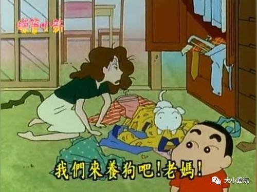 最省钱的打扫神器,过年扫家神器