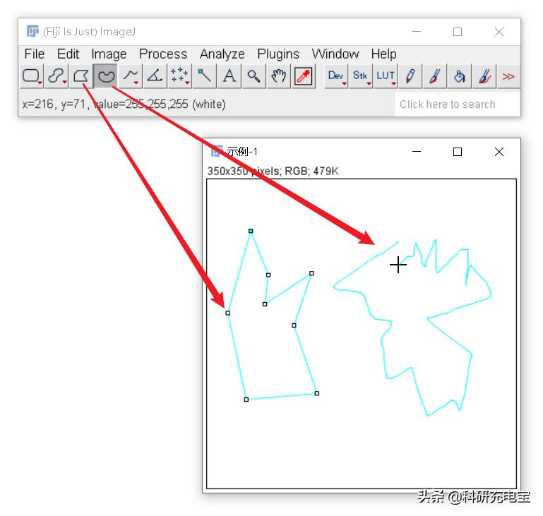 imagej标尺的位置,imagej自动选择区域