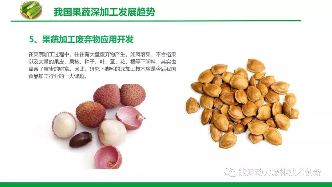 浙江果蔬冻干果干加工流程,果蔬冻干果干加工厂家