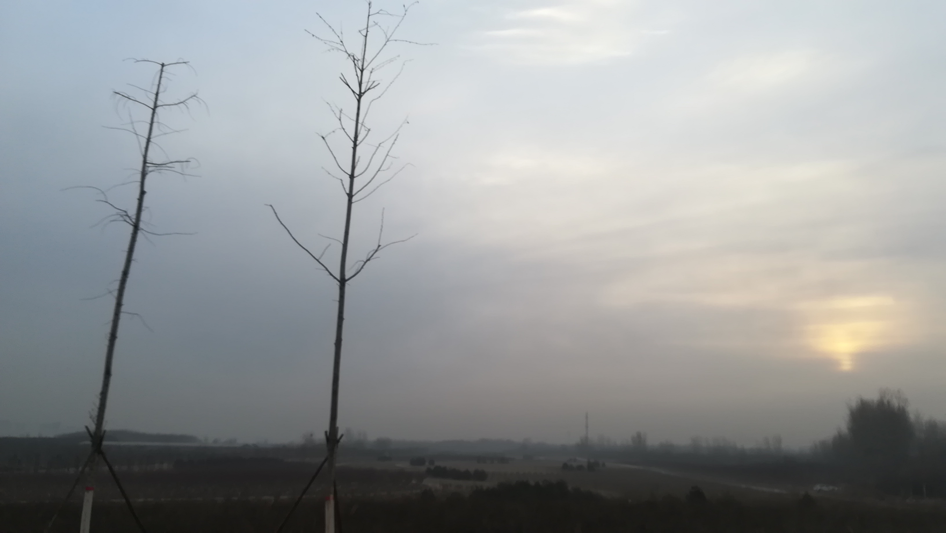 发烧断食好吗,感冒发烧适合轻断食吗