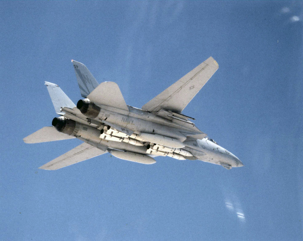 猫迷必备技能,F-14各型号的辨别