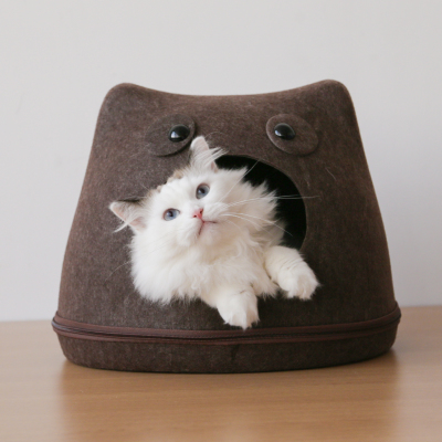 猫最好用什么猫窝,各种猫窝的视频大全