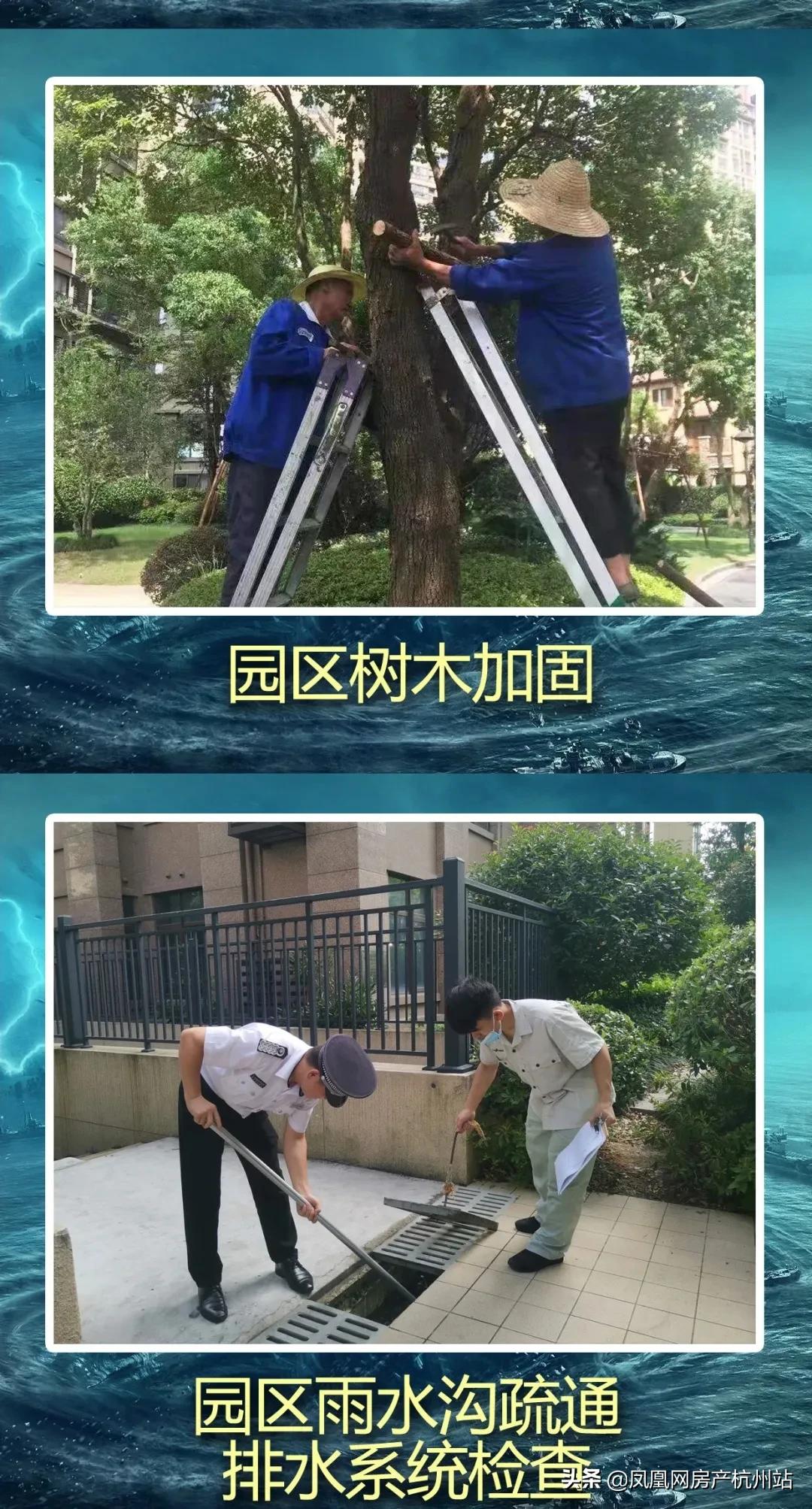 烟花过境宁波,烟花过境淮北