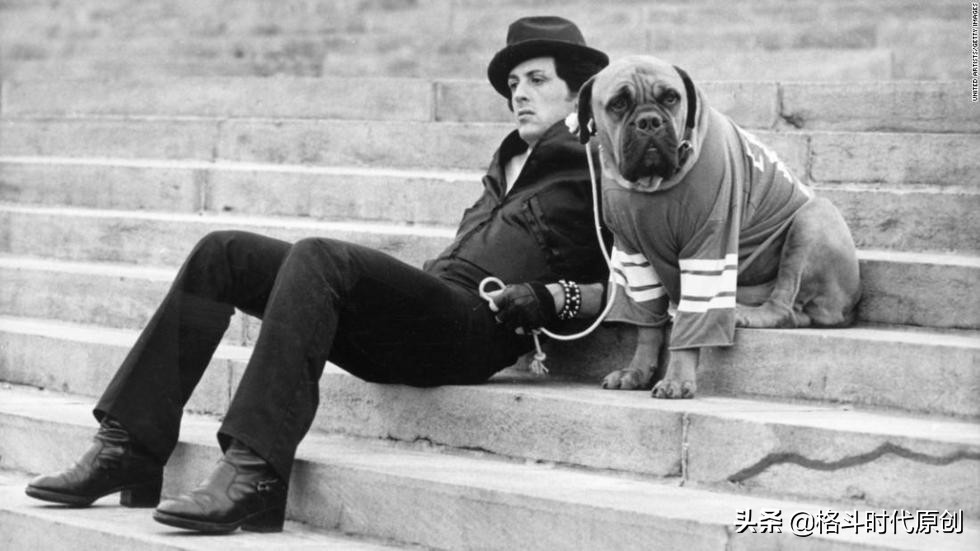 拳击和综合格斗到底哪个厉害,拳击与综合格斗哪个厉害