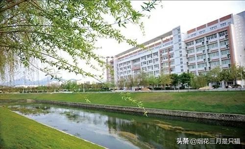 还在为选学校发愁吗,还在为选项目发愁吗