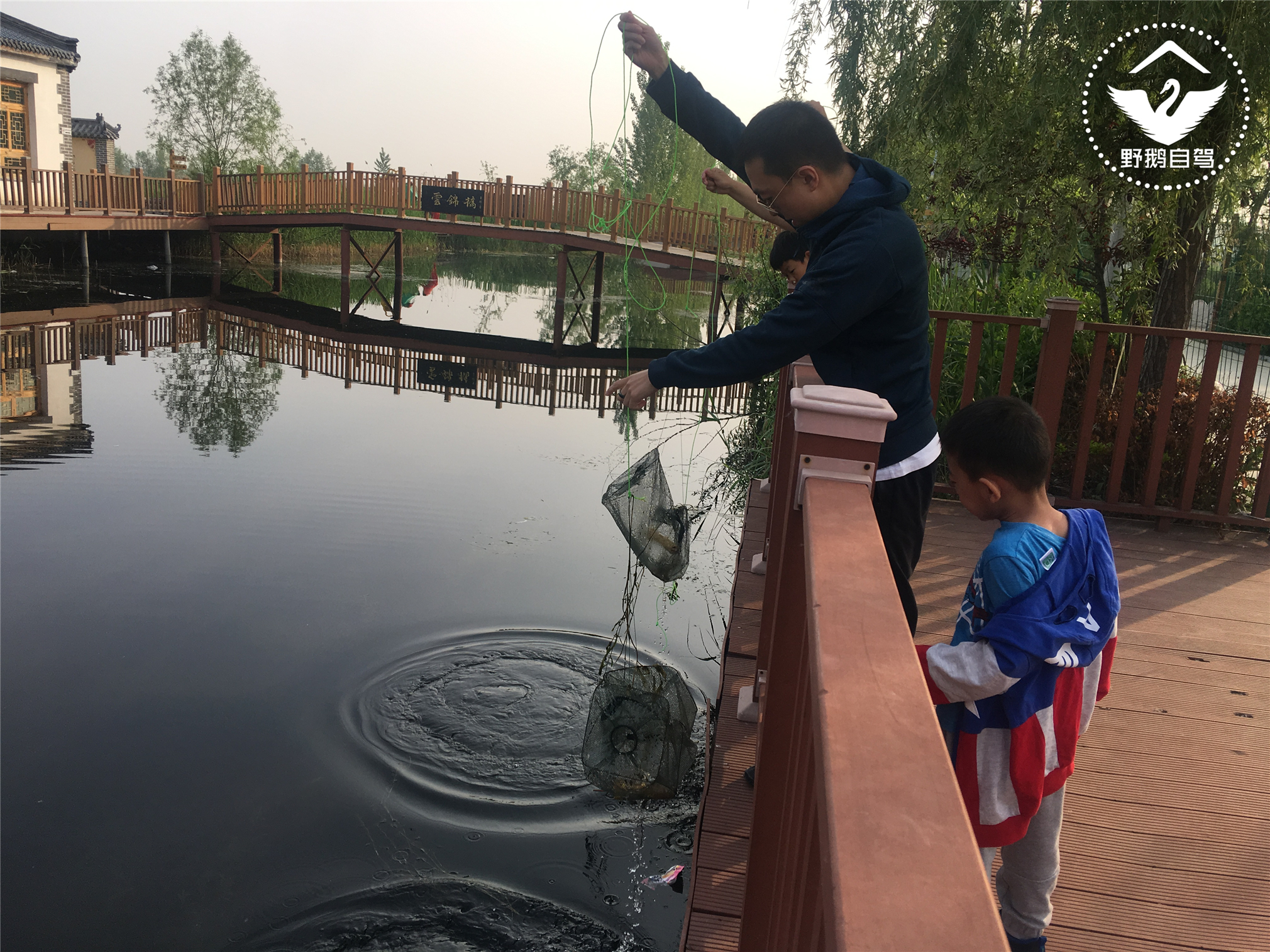 周末带娃自驾白洋淀，下地笼、抓小虾，亲密接触鱼鹰