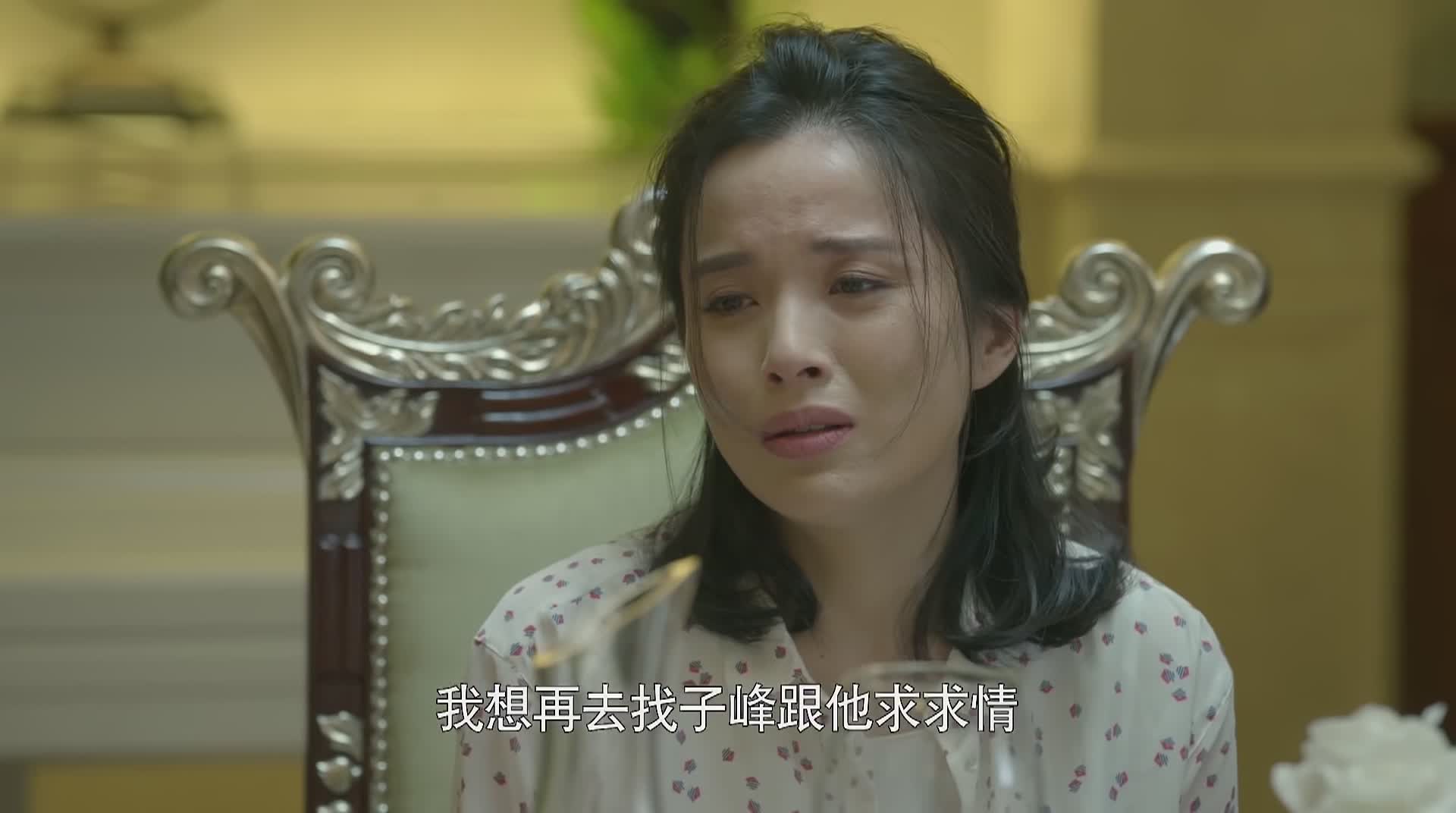 虎妈猫爸童年回忆,虎妈猫爸旧情复燃