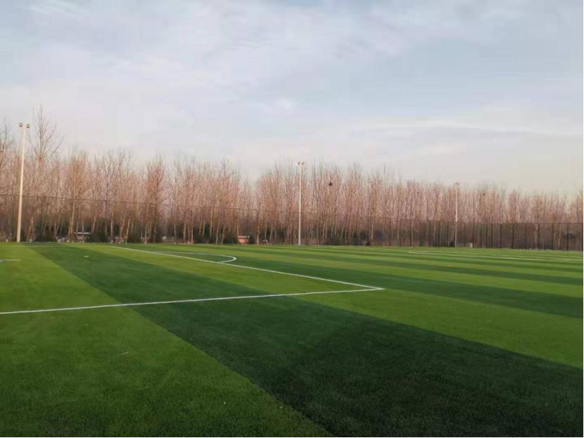 想踢球在哪里都可以踢,想踢球去哪