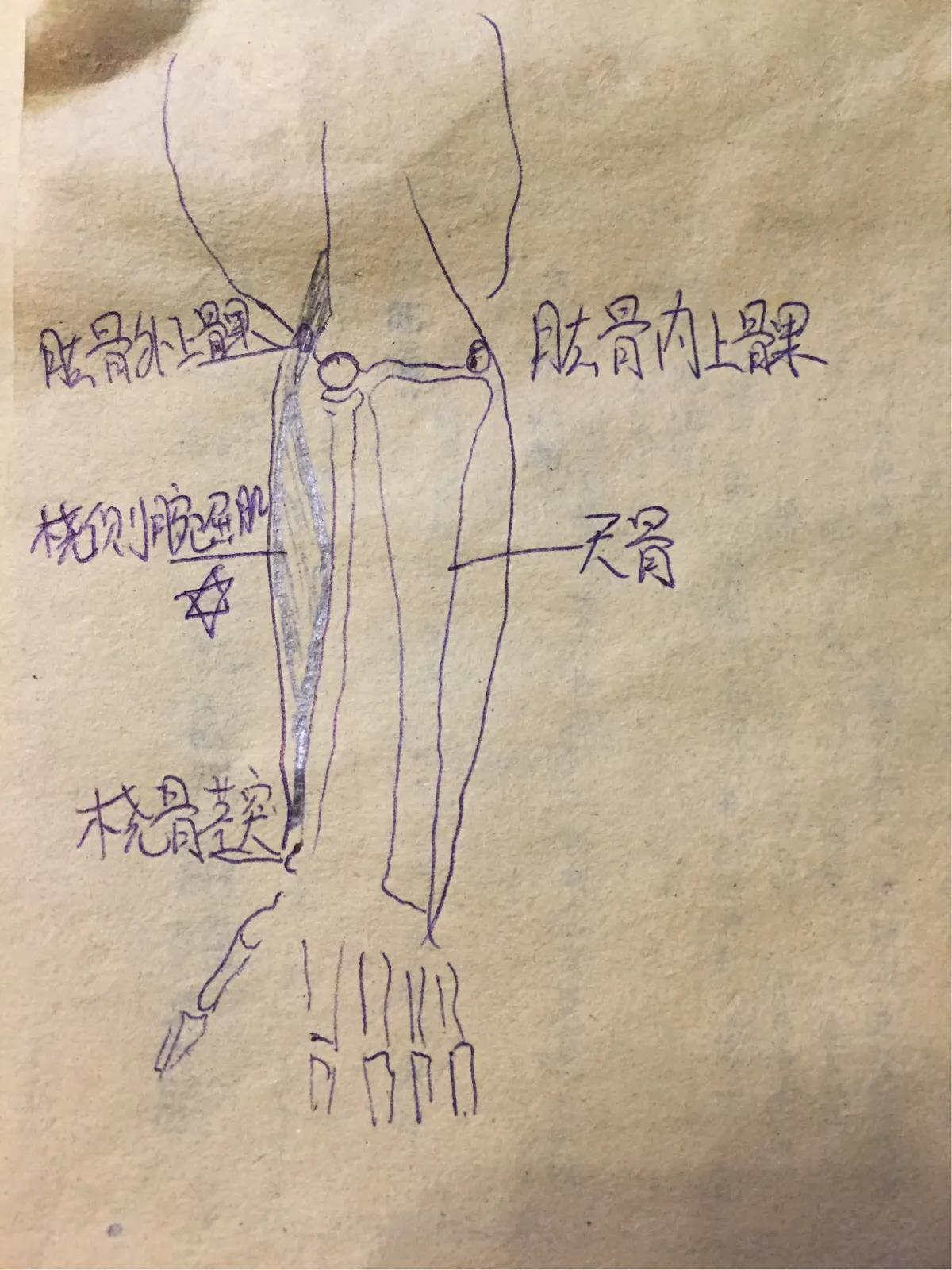 肱骨上髁炎推拿有用吗,简述肱骨外上髁炎的推拿治疗方案