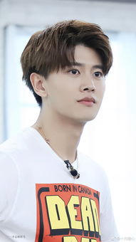 任嘉伦哪年进娱乐圈,英年早婚的男星任嘉伦28岁喜当爹