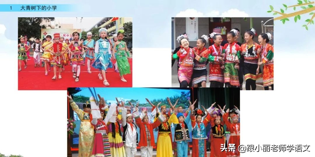 大青树下的小学必会知识点,大青树下的小学必考知识点