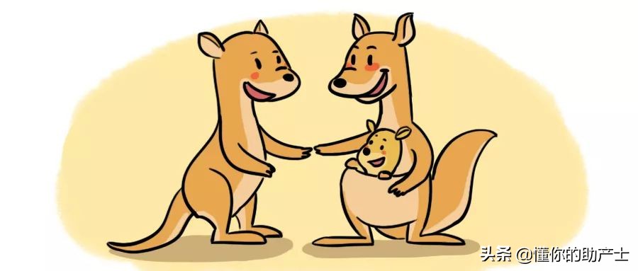 早产宝宝袋鼠式护理在家怎么做,足月的宝宝可以进行袋鼠护理么