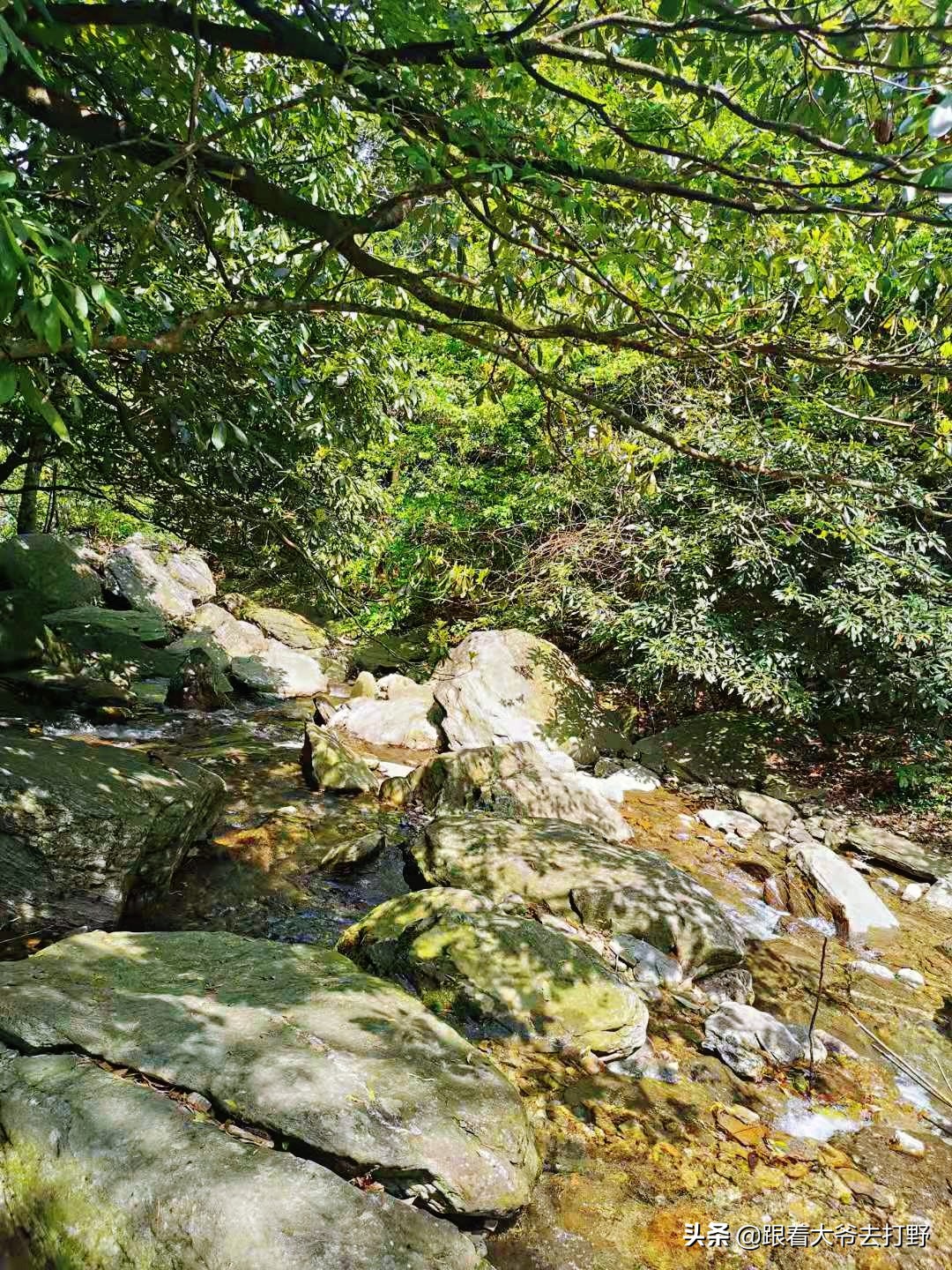九宫山溯溪怎么去,九宫山附近免费溯溪
