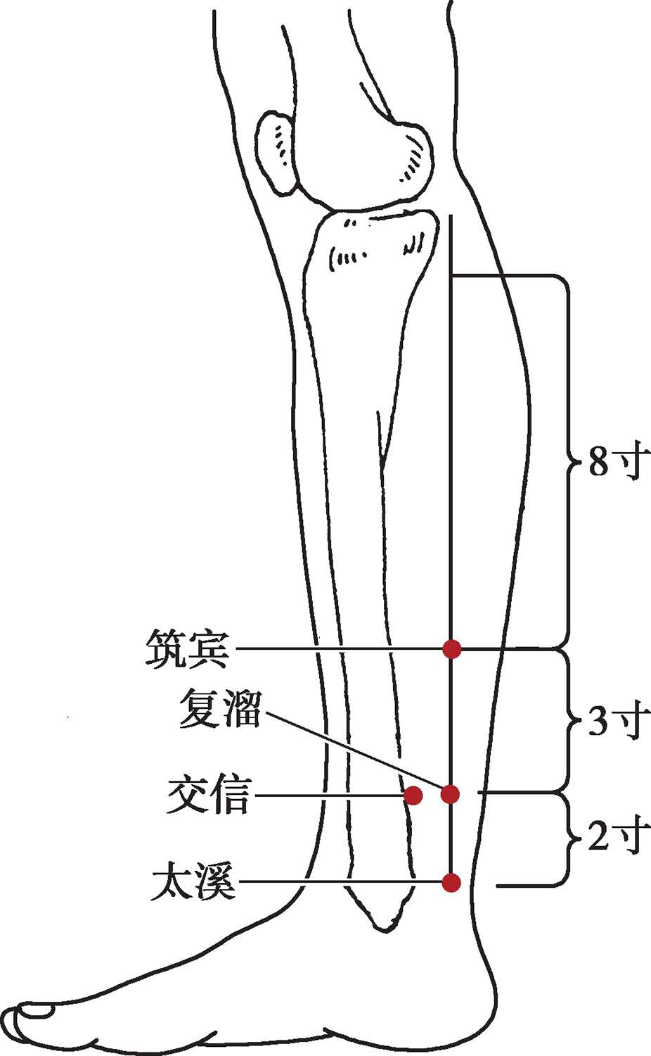 国医大师吕景山简介,吕景山特效对穴疗法