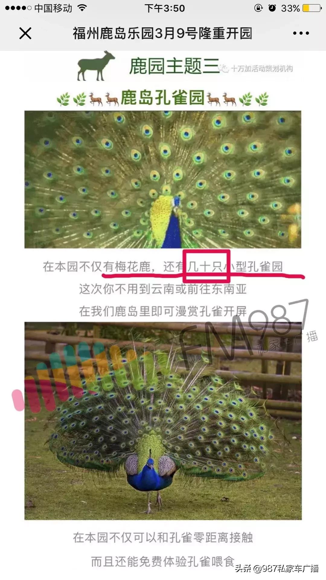 福州梁厝鹿岛公园免费,福建鹿岛公园最新消息