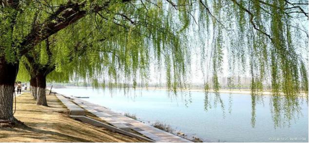 如何预防或减少药物副作用,免疫治疗药物副作用