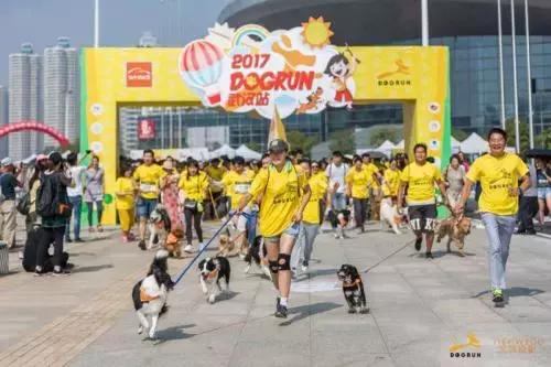 开宠物店一年能赚多少钱,开宠物店一个月可以赚多少钱