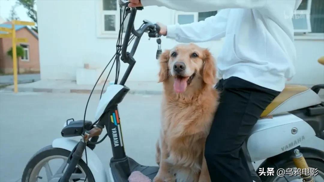 b站必看的综艺,b站能看的综艺推荐