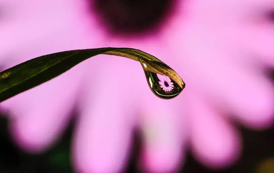 长焦镜头拍摄升起效果,怎么把镜头突然反过来拍自己