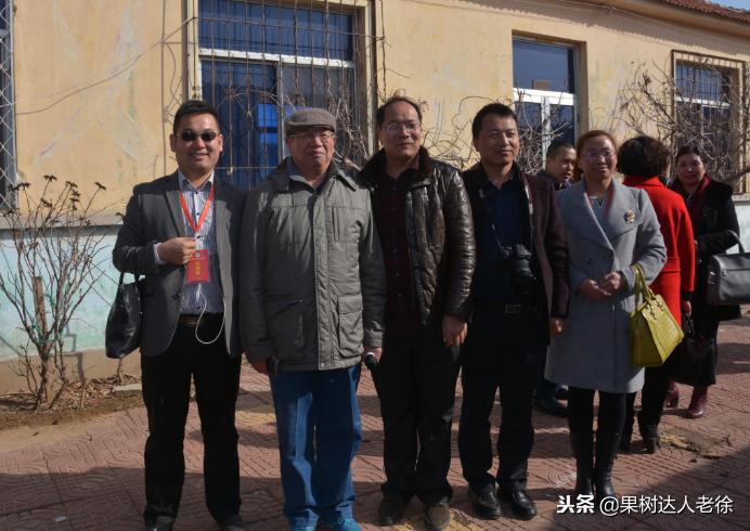 樱桃树如何正确种植,樱桃好吃树难栽真的就这么难么