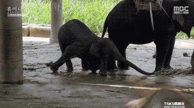 9.4分韩国催泪电视剧,韩国十部9.5评分催泪电影