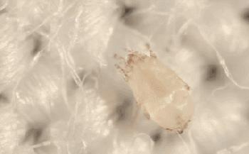 姘ㄥ熀閰稿噣閫忕編鐧芥磥闈钩鐩存挱,姘ㄥ熀閰告场娌礂闈㈠ザ缇庣櫧鐩存挱