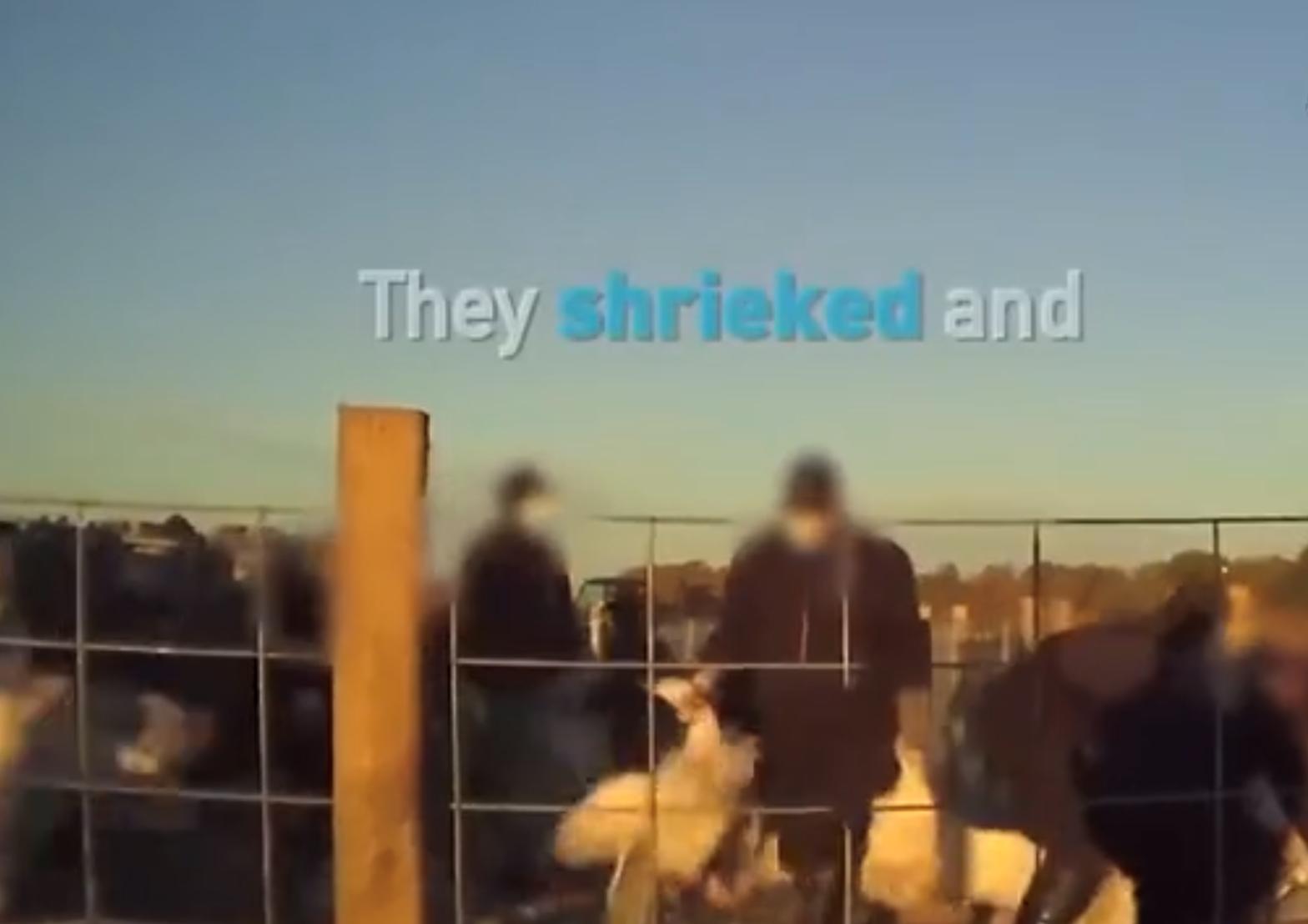 国外的衣服国内卖到一千八,在国外卖工作服