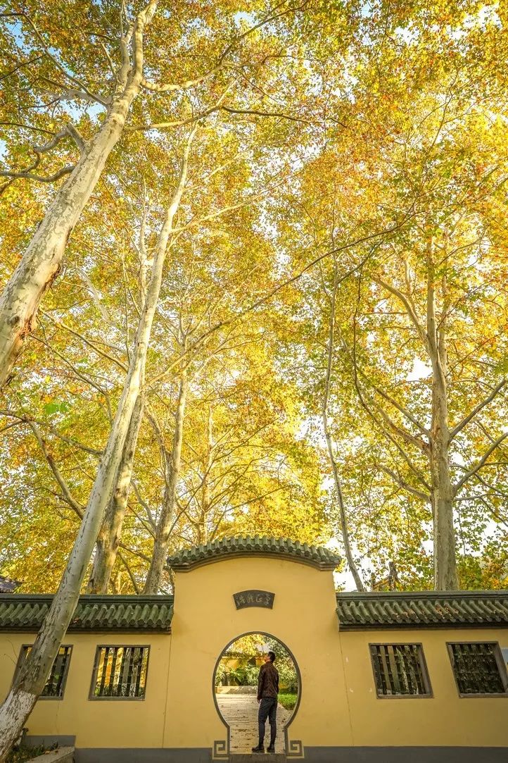 最漂亮的雨花台,雨花台风景太美了
