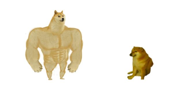 狗狗为什么胖不起来,狗狗长胖不长高咋办