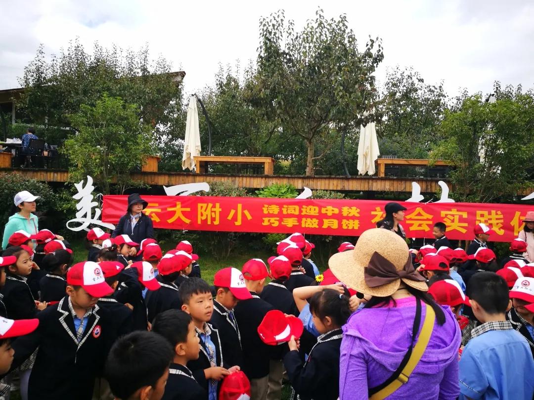 云大附小“融合式教学”的探索与实践——访云南大学附属小学校长谢静|封面校长