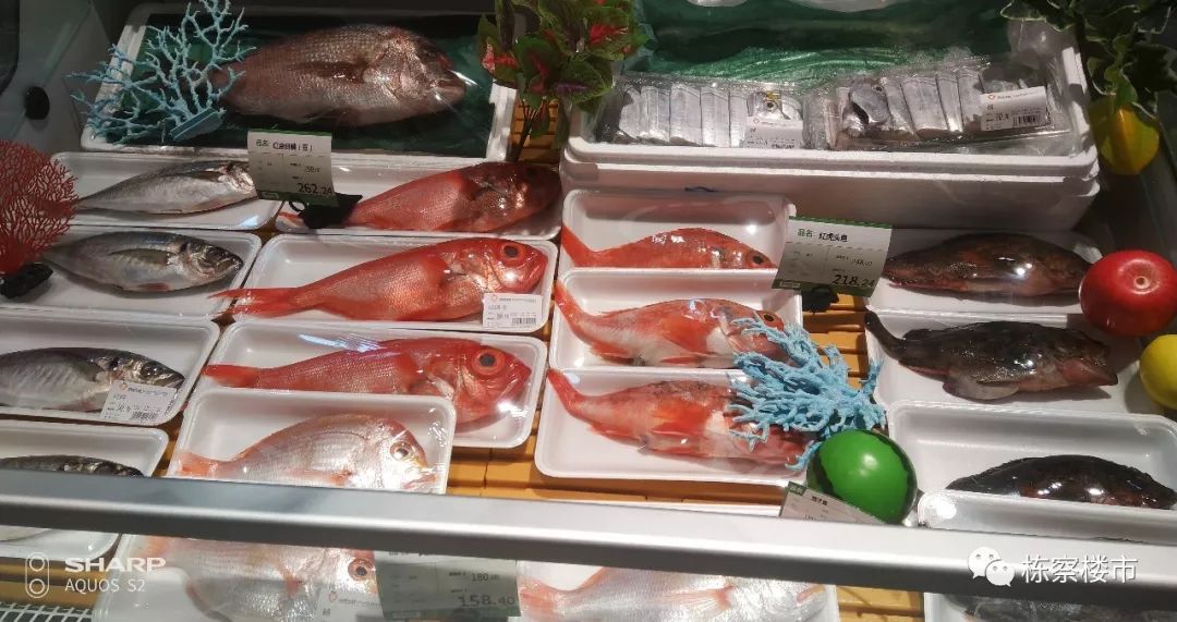 沈阳金廊商圈最新消息,沈阳最新商场开业