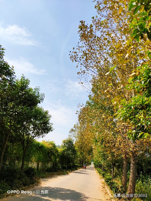 美丽的营头镇,我童年的天堂