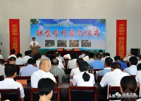 信阳油茶项目,信阳油茶产业有限公司