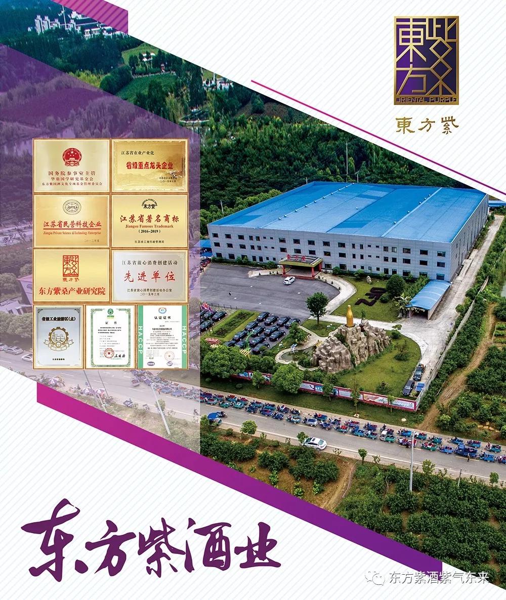 传承桑氏家族文化,传承传统文化彰显蚕桑魅力美篇