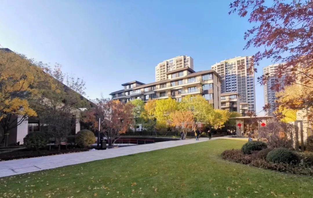 【钱紧买错楼盘？真的不如不买】