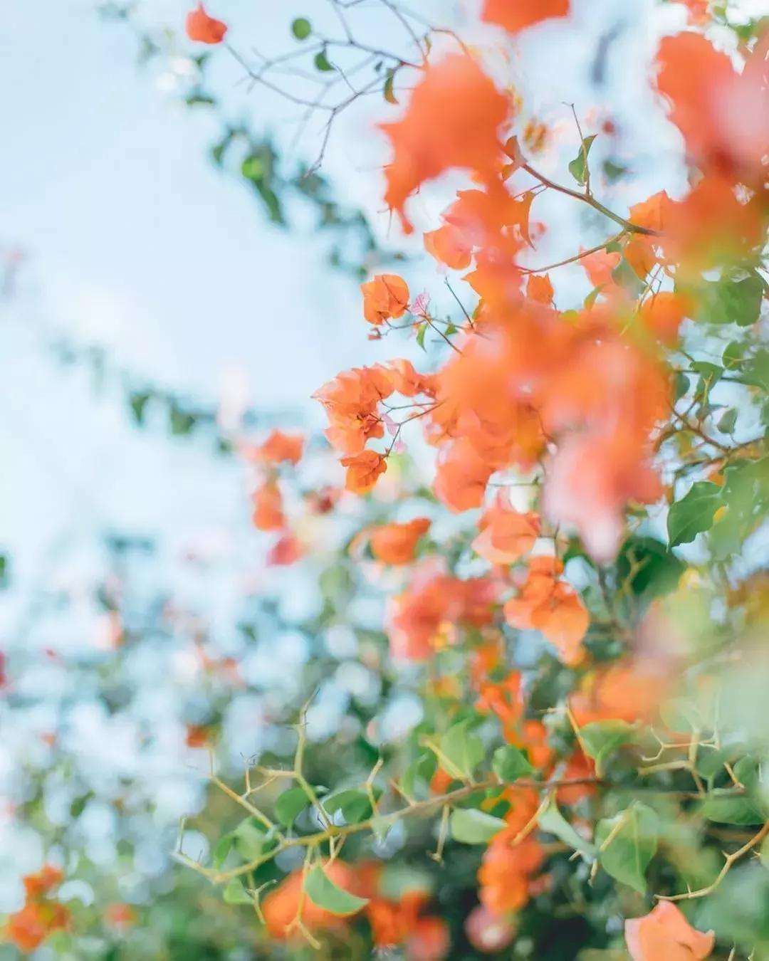 日出日落摄影的11种曝光技巧,学会曝光三要素就能独立拍摄了吗