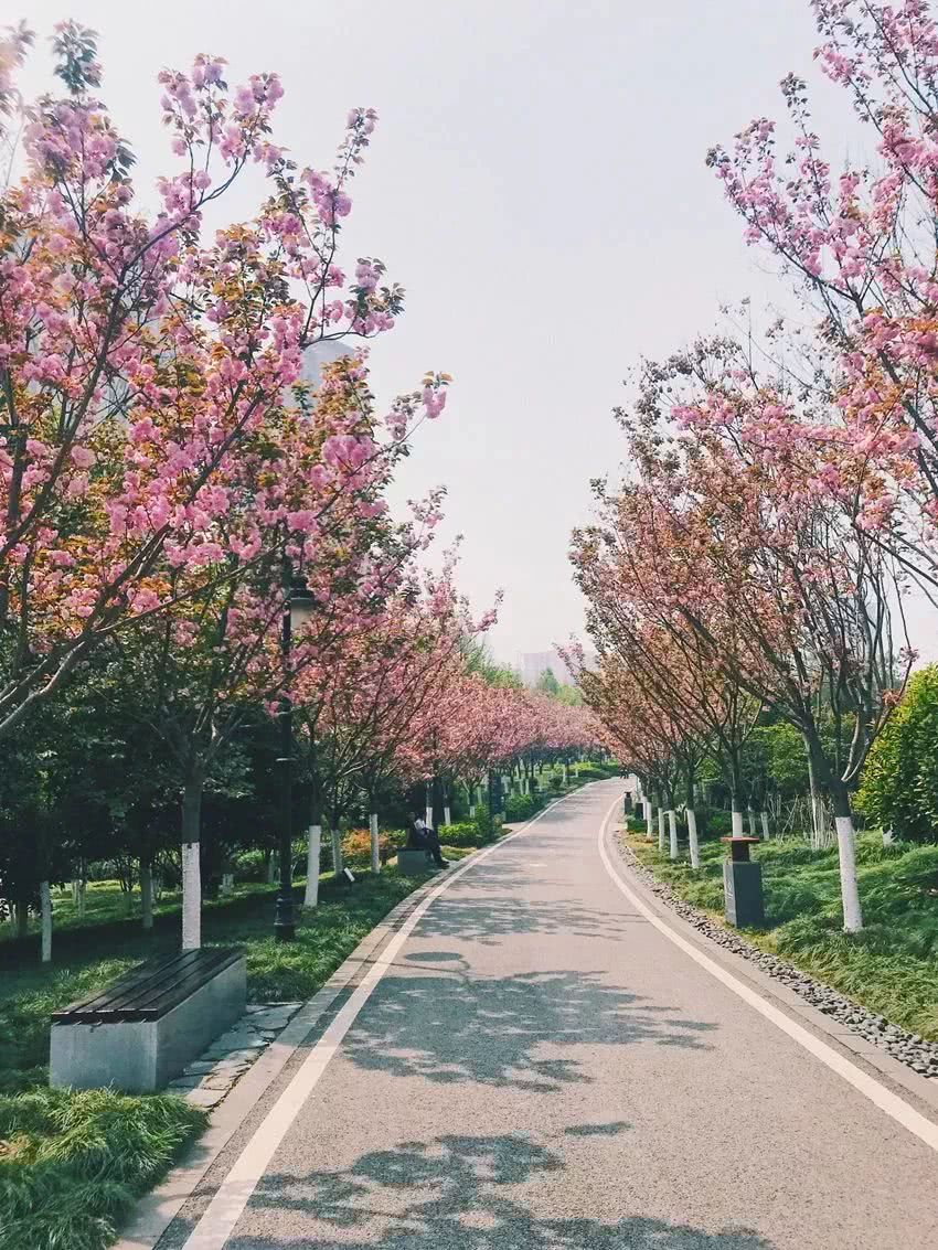 武汉21个免费景点,武汉43个免费景点出炉