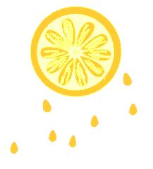 兰山区入学报名视频,兰山区小学生入学审核通过