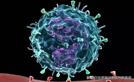 pd-1单抗治疗哪几种癌症,癌症pd-1免疫治疗费用