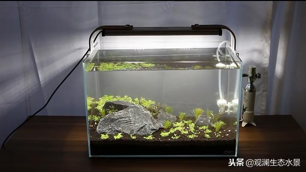 ada石景缸贵吗,ada35小缸造景